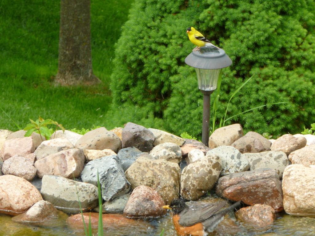 Trickling Waters Retreat Villa Marquette Dış mekan fotoğraf