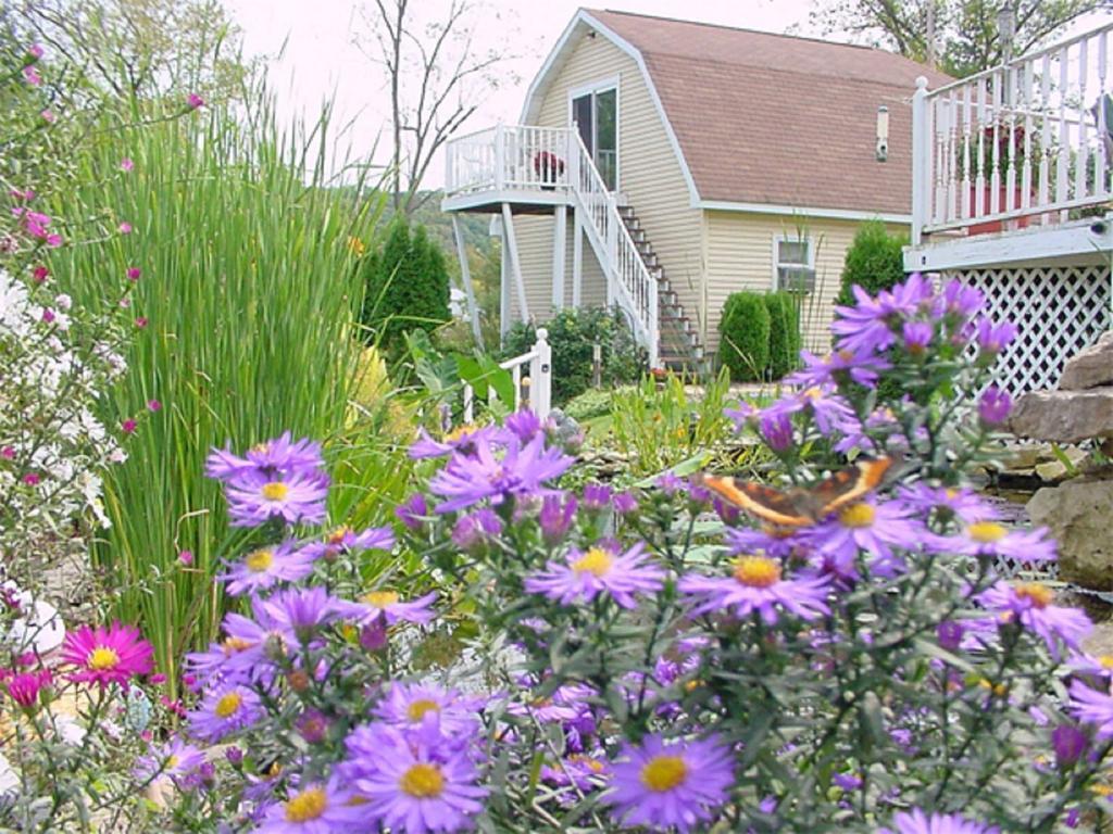 Trickling Waters Retreat Villa Marquette Dış mekan fotoğraf