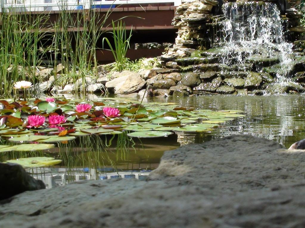 Trickling Waters Retreat Villa Marquette Dış mekan fotoğraf