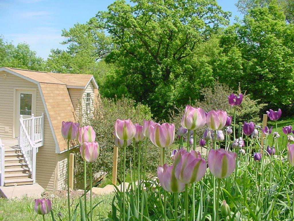 Trickling Waters Retreat Villa Marquette Dış mekan fotoğraf